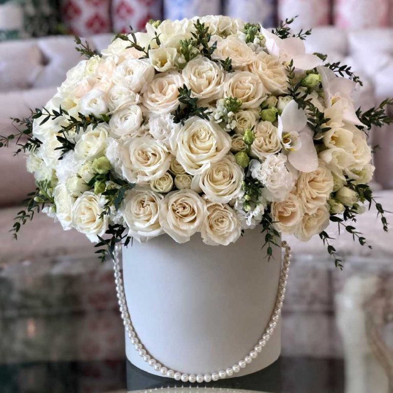 Брахиум brahium