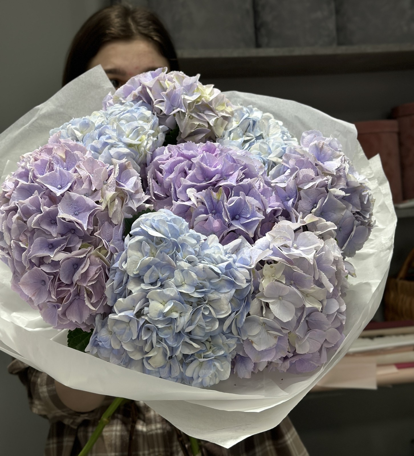 Букет гортензий Симфония: мелодия чувств buket-gortenziy-simfoniya:-melodiya-chuvstv